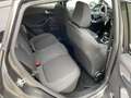 Ford Fiesta 1.0 EcoBoost Titanium 17"LM all Season Gris - thumbnail 15