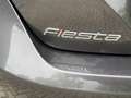 Ford Fiesta 1.0 EcoBoost Titanium 17"LM all Season Gris - thumbnail 11