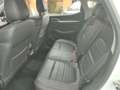 MG ZS ZS 1.5 Luxury 106 cv Formula Guida Sicuro !!!! Bianco - thumbnail 11