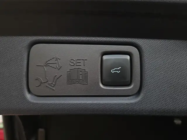 Ford Mustang Mach-E view 13