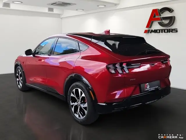 Ford Mustang Mach-E view 8