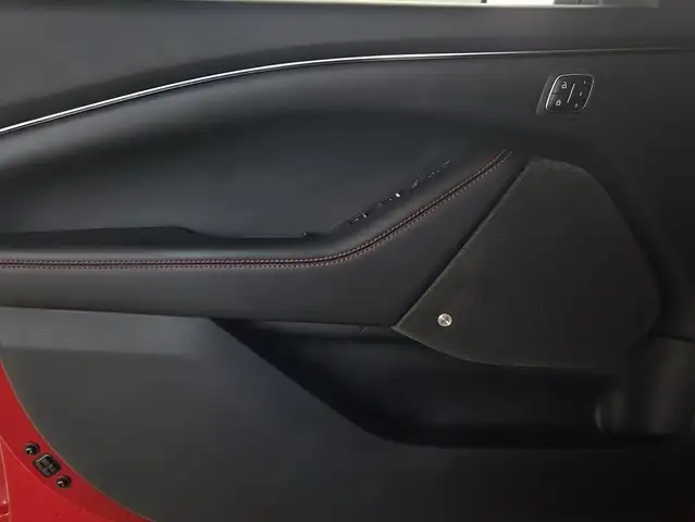 Ford Mustang Mach-E view 15
