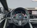 BMW X6 M Competition LicPro H/K DAB Pa+ DaPro Pano HUD Gris - thumbnail 10