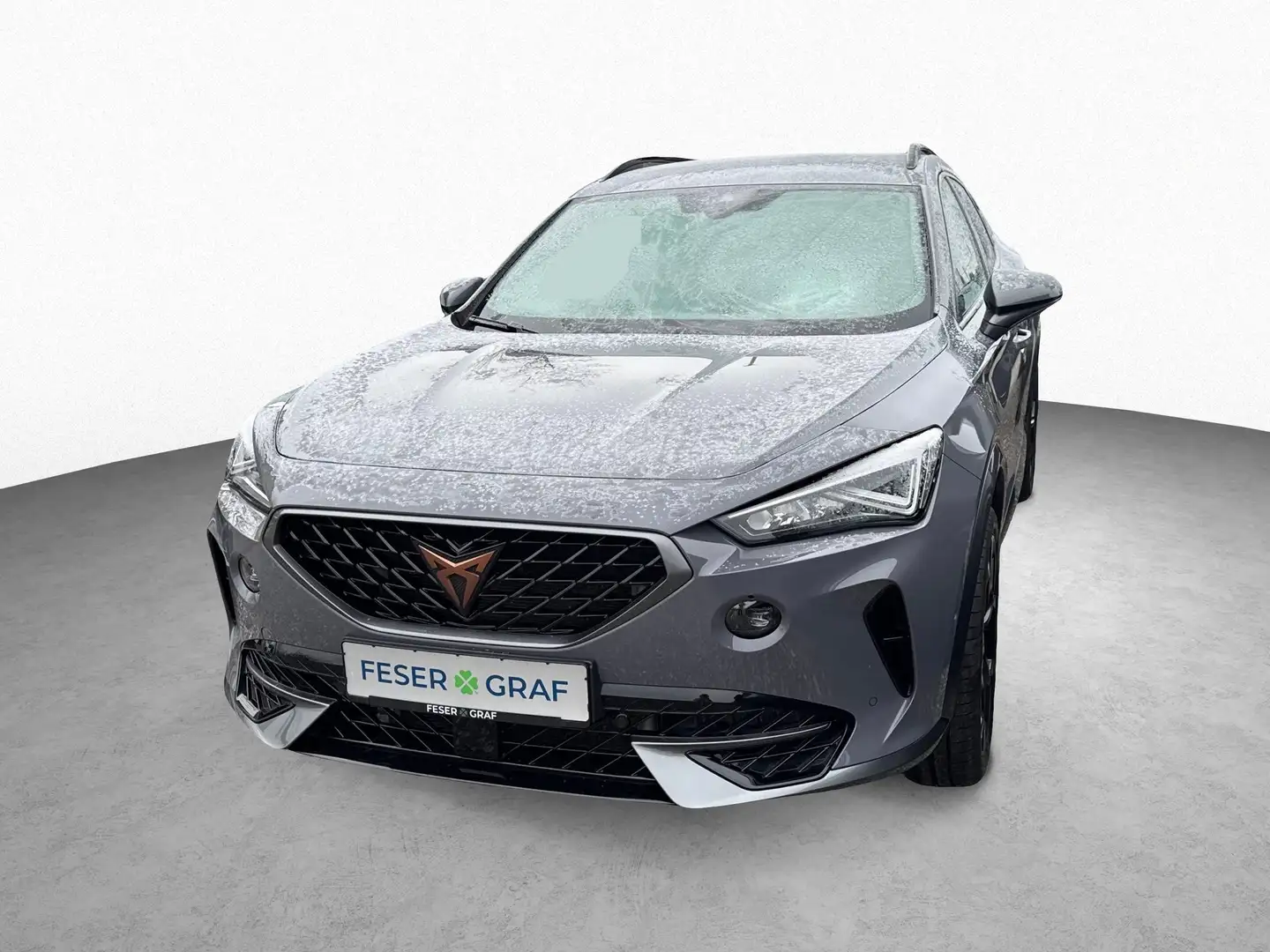CUPRA Formentor 2.0 TSI DSG 4Drive|AHK|Full Link|RFK Grau - 1