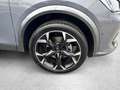 CUPRA Formentor 2.0 TSI DSG 4Drive|AHK|Full Link|RFK Grau - thumbnail 4