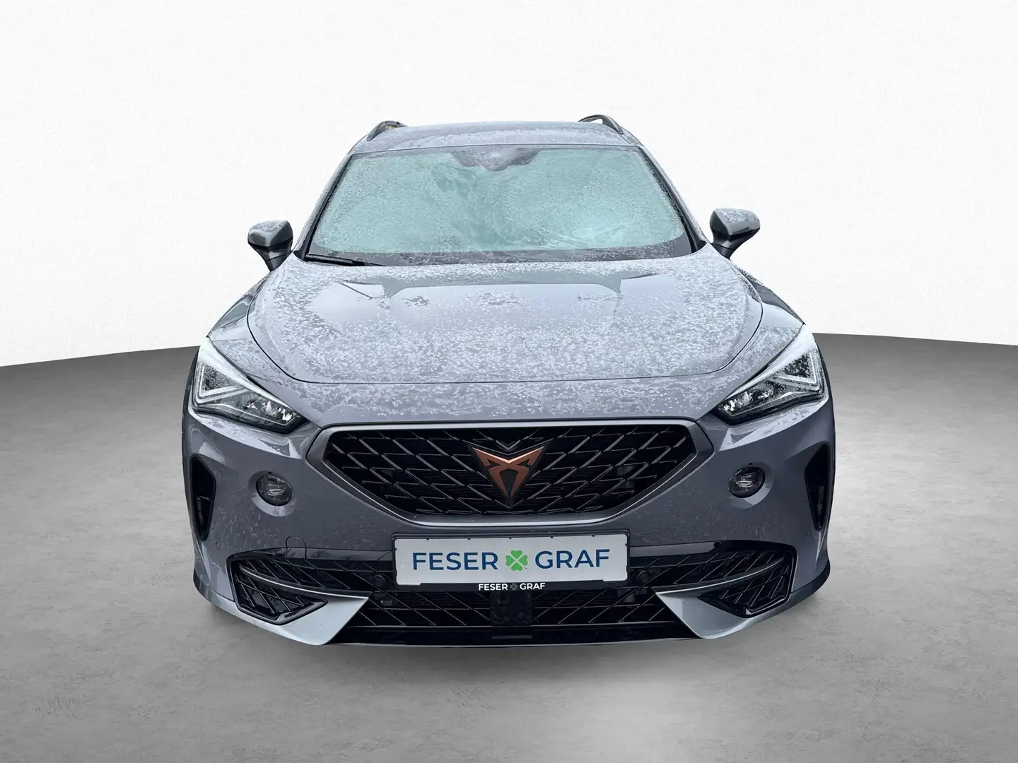 CUPRA Formentor 2.0 TSI DSG 4Drive|AHK|Full Link|RFK Grau - 2