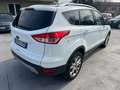 Ford Kuga Kuga 2.0 tdci Titanium 4wd s Weiß - thumbnail 4
