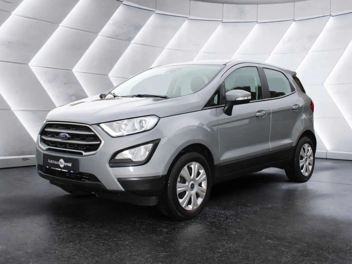 Ford EcoSport Cool & Connect - Winter-Paket Silber - 1