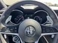 Alfa Romeo Stelvio Stelvio 2.2 t Executive Q4 210cv auto Білий - thumbnail 32