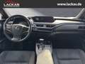 Lexus UX 250h STYLE*LED*ALLWETTER*GEPFLEGT*GARANTIE Gris - thumbnail 13