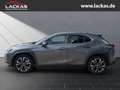 Lexus UX 250h STYLE*LED*ALLWETTER*GEPFLEGT*GARANTIE Gris - thumbnail 2