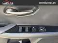 Lexus UX 250h STYLE*LED*ALLWETTER*GEPFLEGT*GARANTIE Gris - thumbnail 12