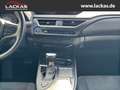 Lexus UX 250h STYLE*LED*ALLWETTER*GEPFLEGT*GARANTIE Gris - thumbnail 14
