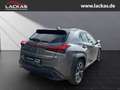 Lexus UX 250h STYLE*LED*ALLWETTER*GEPFLEGT*GARANTIE Gris - thumbnail 5