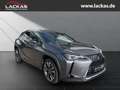 Lexus UX 250h STYLE*LED*ALLWETTER*GEPFLEGT*GARANTIE Gris - thumbnail 7