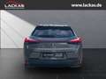 Lexus UX 250h STYLE*LED*ALLWETTER*GEPFLEGT*GARANTIE Gris - thumbnail 4