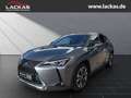 Lexus UX 250h STYLE*LED*ALLWETTER*GEPFLEGT*GARANTIE Gris - thumbnail 1