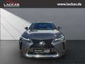 Lexus UX 250h STYLE*LED*ALLWETTER*GEPFLEGT*GARANTIE Gris - thumbnail 8