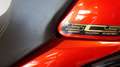 MV Agusta Turismo Veloce 800 LUSSO SCS Rosso - thumbnail 6