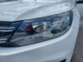 Volkswagen Tiguan 2.0 TDI 140 CV 4MOTION DSG Business Sport & Style Bianco - thumbnail 6