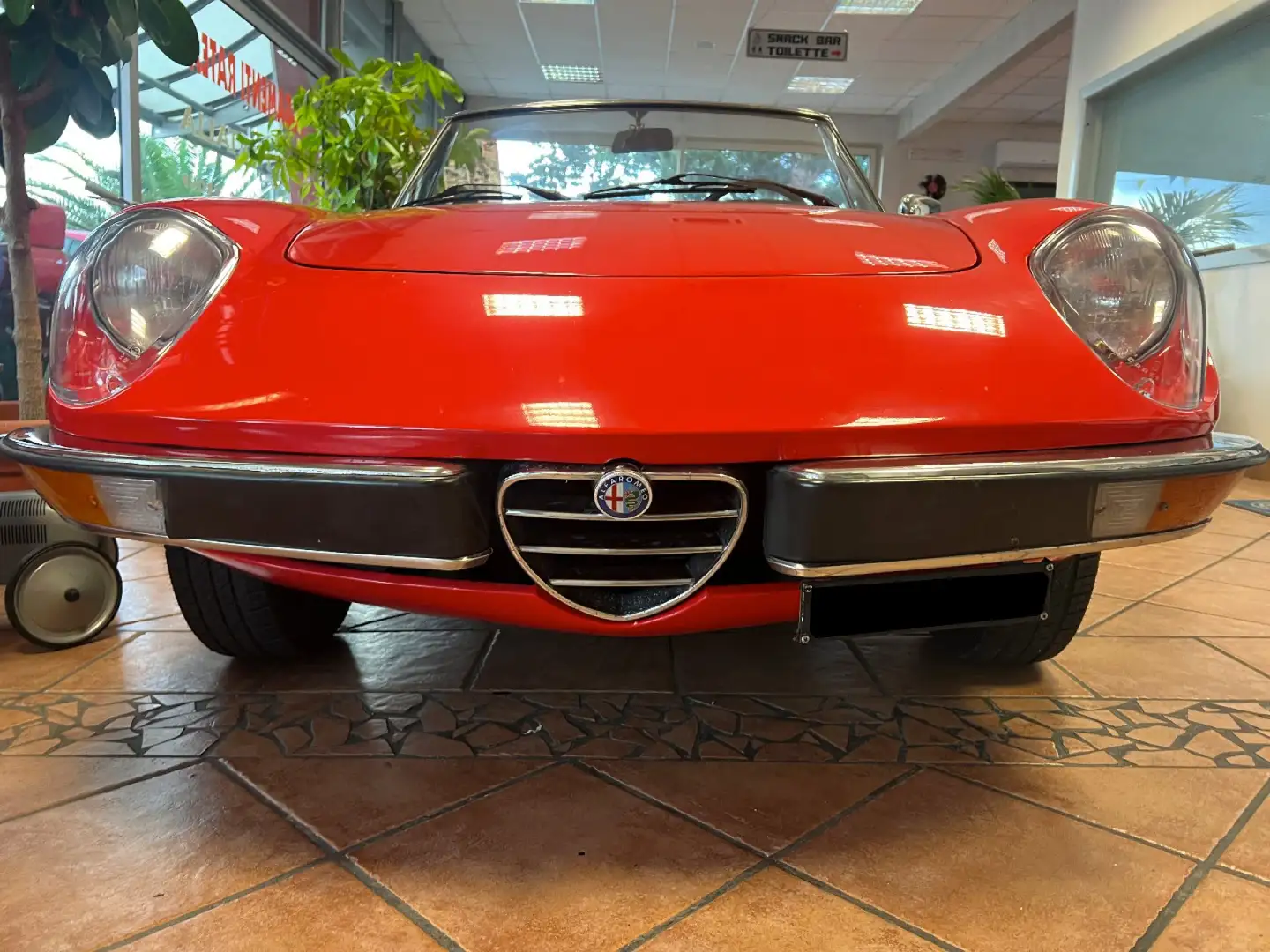 Alfa Romeo Spider DUETTO CODA TRONCA 1.3 Rosso - 2
