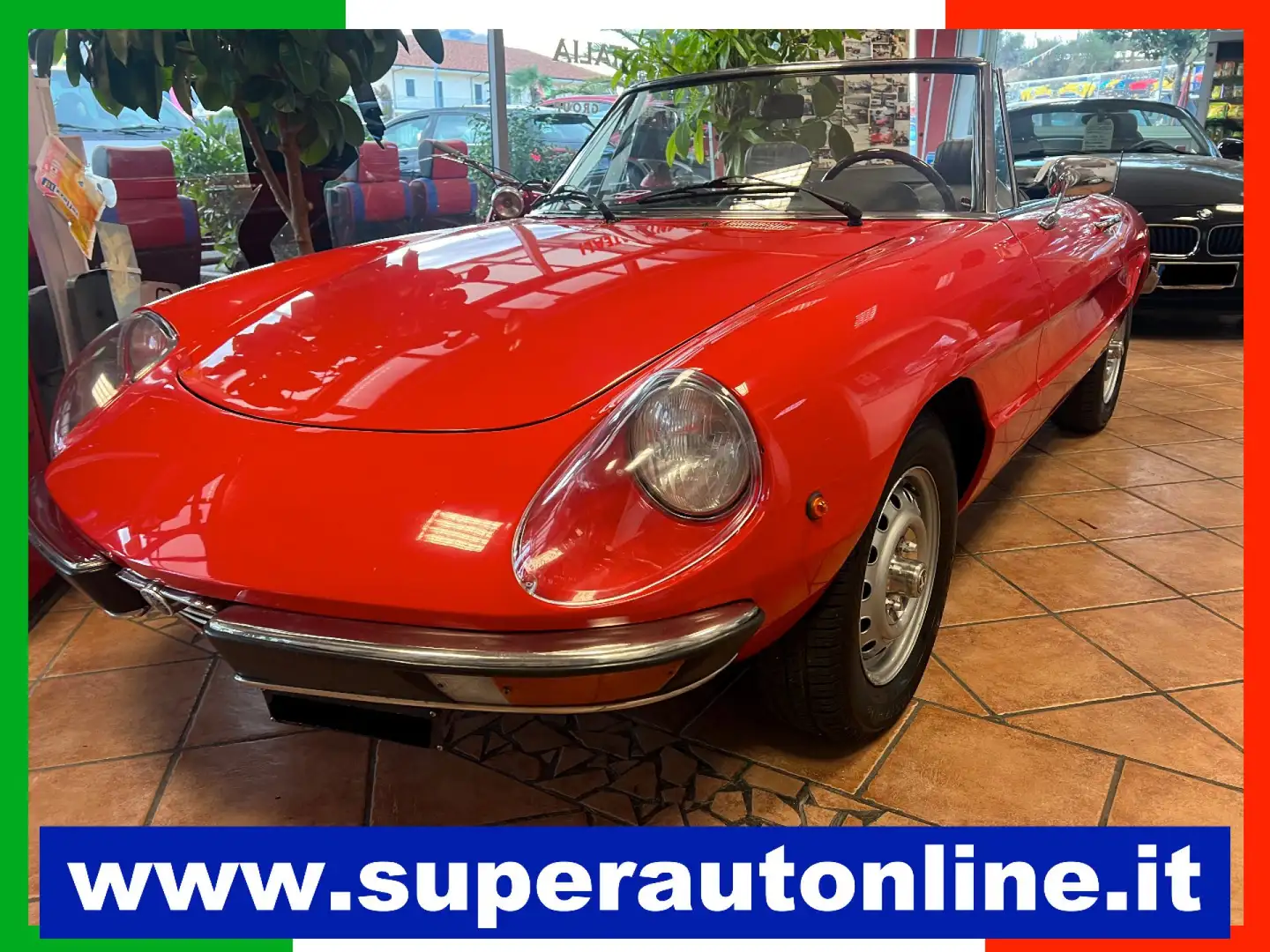 Alfa Romeo Spider DUETTO CODA TRONCA 1.3 Rosso - 1