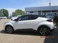 Toyota C-HR 2,0l Team Deutschland Weiß - thumbnail 18