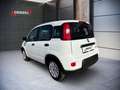 Fiat Panda Hybrid 70 Weiß - thumbnail 3