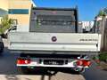 Fiat Ducato doppia cabina cassone fisso euro 6 Blanc - thumbnail 8