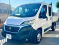 Fiat Ducato doppia cabina cassone fisso euro 6 Blanc - thumbnail 1