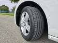 Volkswagen Golf 2.0TDI CR BMT Advance 150 Blanco - thumbnail 12