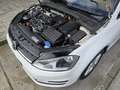 Volkswagen Golf 2.0TDI CR BMT Advance 150 Blanco - thumbnail 37