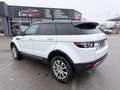 Land Rover Range Rover Evoque Pure 2,2 eD4 *Händler / Export* - thumbnail 5