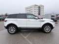 Land Rover Range Rover Evoque Pure 2,2 eD4 *Händler / Export* - thumbnail 8