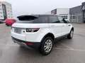 Land Rover Range Rover Evoque Pure 2,2 eD4 *Händler / Export* - thumbnail 7