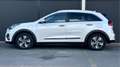 Kia Niro 1.6 GDi PHEV ExecutiveLine / Stoel/stuur verwr. V& Bianco - thumbnail 7