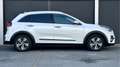 Kia Niro 1.6 GDi PHEV ExecutiveLine / Stoel/stuur verwr. V& Bianco - thumbnail 14