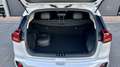Kia Niro 1.6 GDi PHEV ExecutiveLine / Stoel/stuur verwr. V& Weiß - thumbnail 35