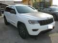 Jeep Grand Cherokee 3.0 V6 crd Trailhawk 250cv auto Tetto Blanc - thumbnail 3