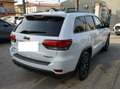 Jeep Grand Cherokee 3.0 V6 crd Trailhawk 250cv auto Tetto Blanc - thumbnail 6