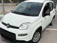 Fiat Panda city life ibrida 70cv No finanziamento Bianco - thumbnail 1