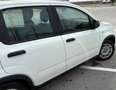 Fiat Panda city life ibrida 70cv No finanziamento Bianco - thumbnail 4