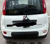 Fiat Panda city life ibrida 70cv No finanziamento Bianco - thumbnail 2