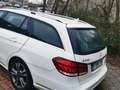 Mercedes-Benz E 220 CDI 7G-TRONIC Avantgarde Blanc - thumbnail 7