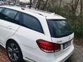 Mercedes-Benz E 220 CDI 7G-TRONIC Avantgarde Wit - thumbnail 7