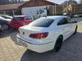 Volkswagen CC Basis BMT Weiß - thumbnail 5