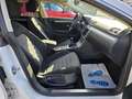 Volkswagen CC Basis BMT Weiß - thumbnail 18