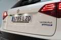 Suzuki Vitara sz  1.4 gas 129cv - 2022 Blanco - thumbnail 11