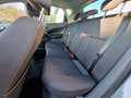 SEAT Ibiza Copa Grau - thumbnail 6