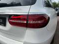 Mercedes-Benz E 220 d T +AVANTGARDE+AHK+KAMERA+WIDE+SHZ+MBUX Blanc - thumbnail 11